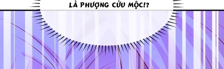 Dưỡng Thú Làm Phi Chapter 16 - Trang 61