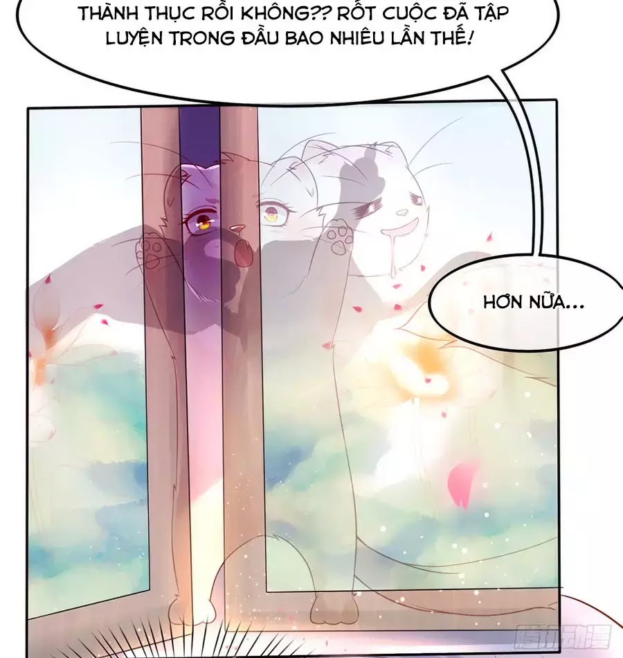 Dưỡng Thú Làm Phi Chapter 1 - Trang 11