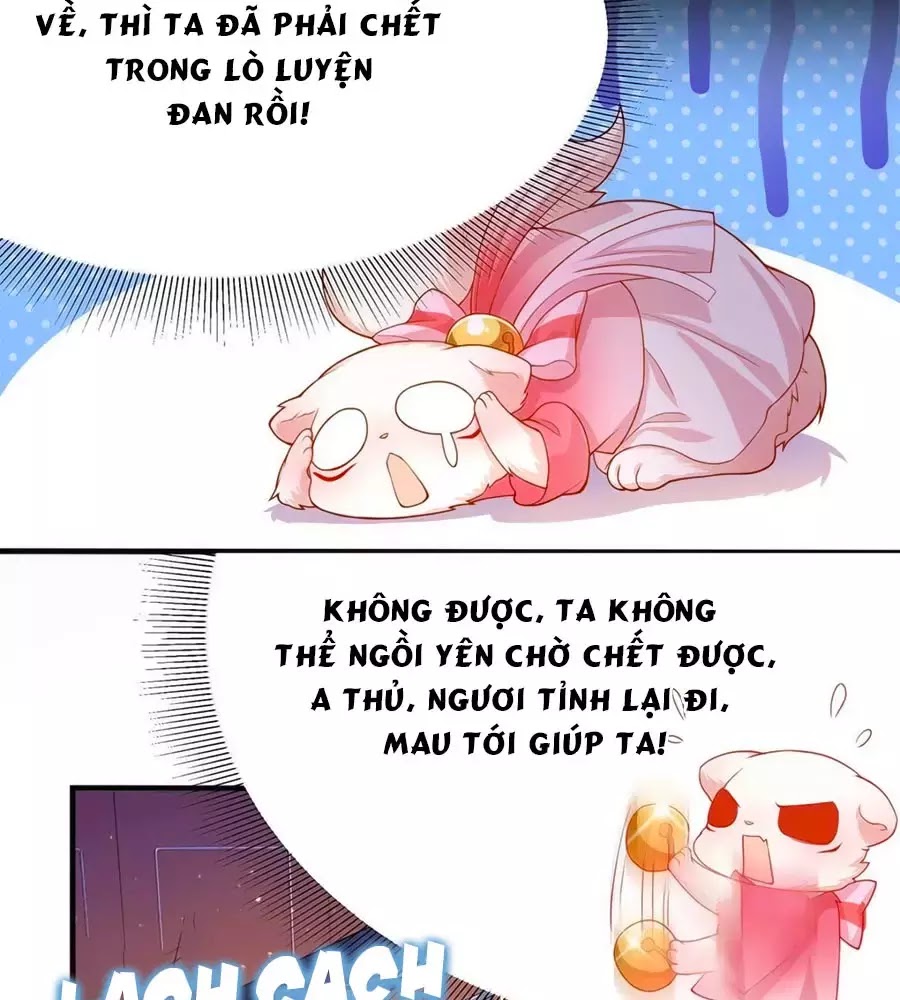 Dưỡng Thú Làm Phi Chapter 6 - Trang 26