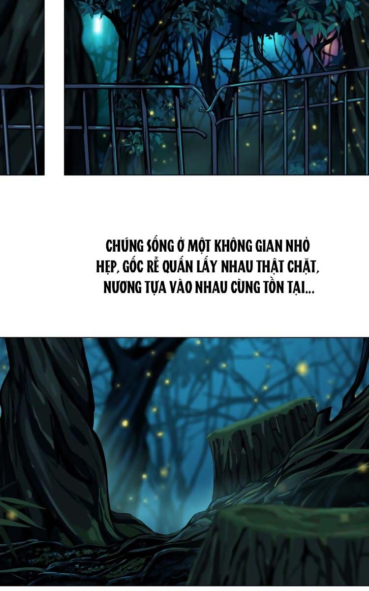 Đằng Nữ Chapter 4 - Trang 14