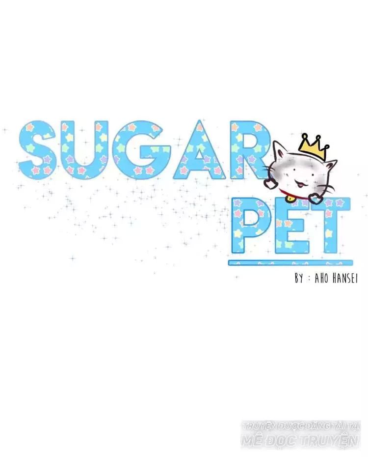 Sugar Pet Chapter 14 - Trang 1