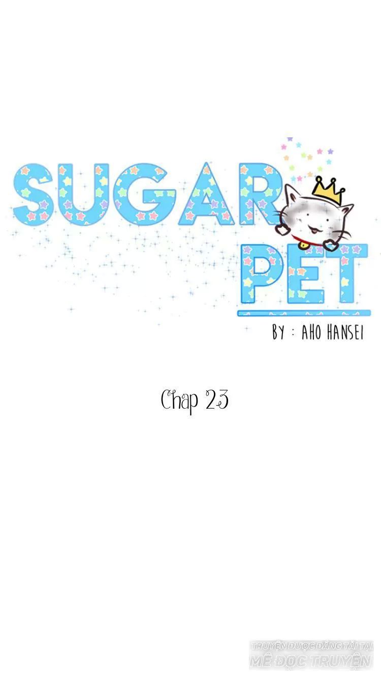 Sugar Pet Chapter 23 - Trang 1