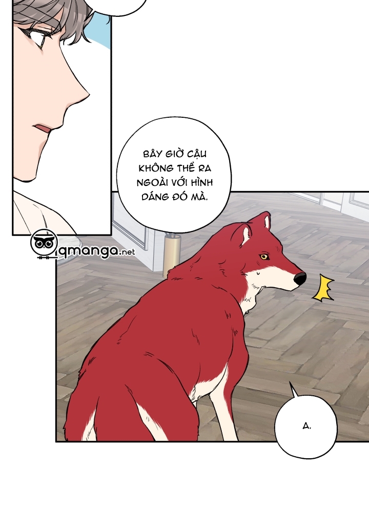 Gâu Gâu! Chapter 21 - Trang 21