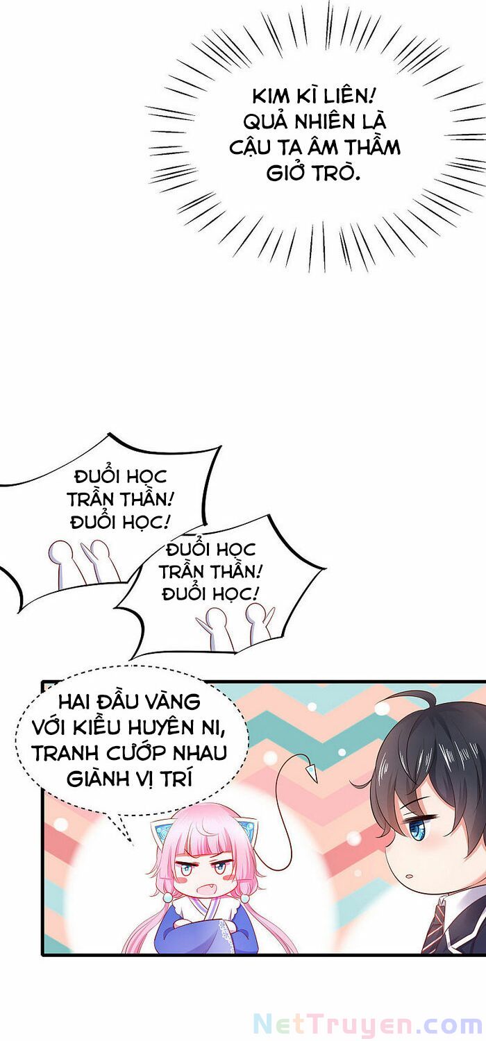 Vô Địch Học Bạ Hệ Thống Chapter 21 - Trang 6