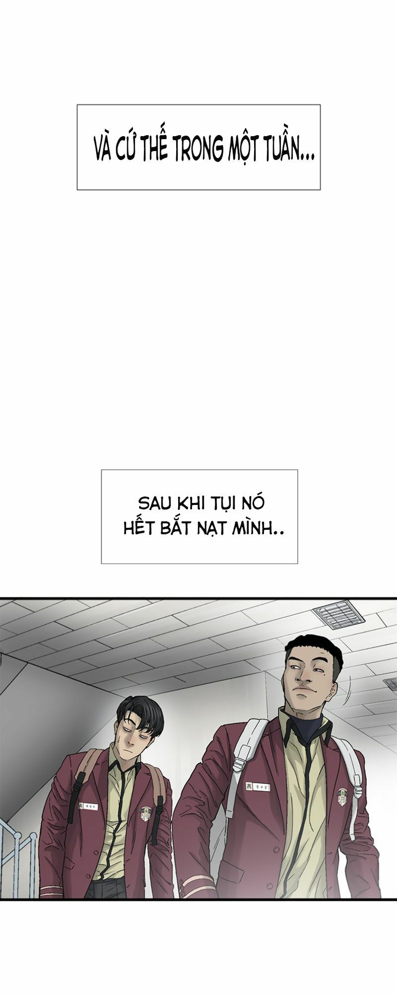 Cell Chapter 6 - Trang 81