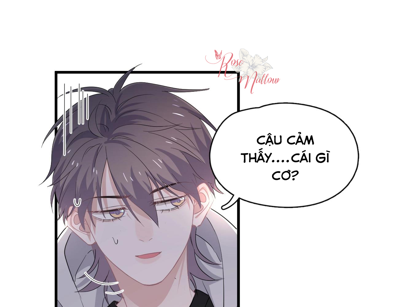 Đề Này Vượt Quá Sức Rồi Chapter 26 - Trang 9