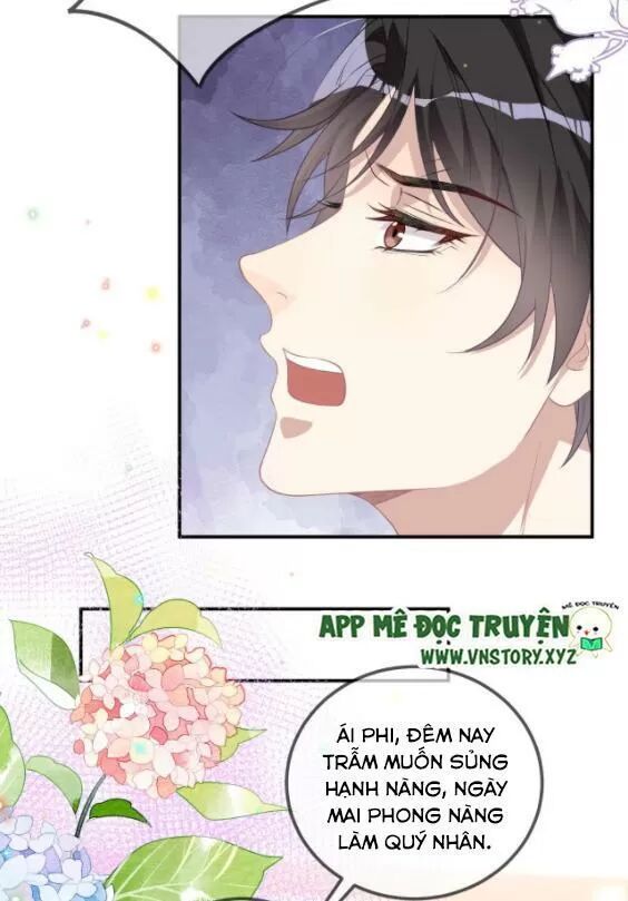 Ảnh Đế Làm Loạn Đòi Ly Hôn Chapter 46 - Trang 33