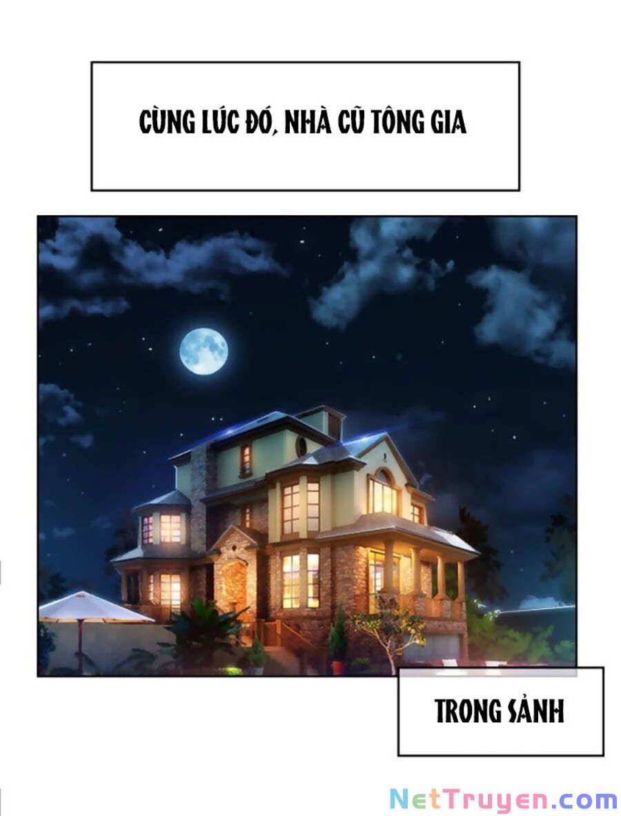 Tồng Tài Cứ Muốn Lấy Cô Vợ Gả Thay Chapter 41 - Trang 1