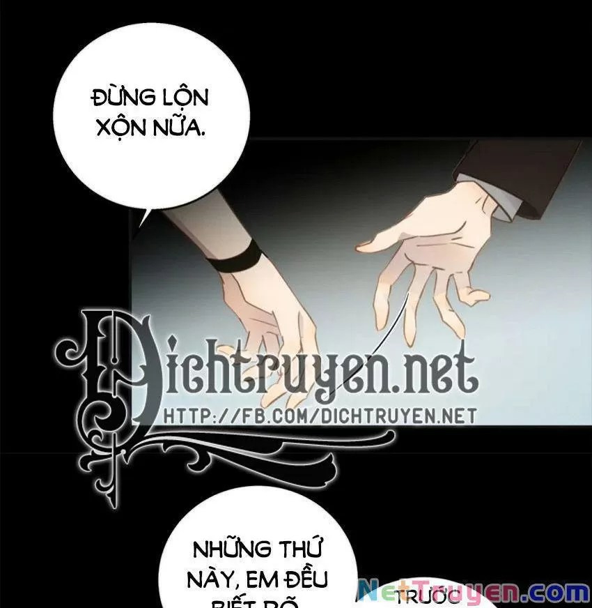 Tiên Sinh Nói Dối Chapter 45 - Trang 37