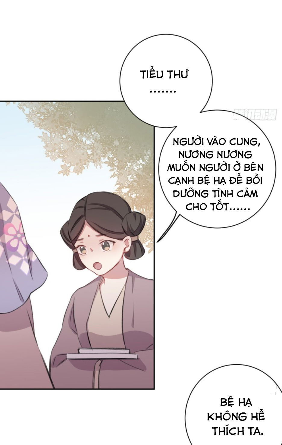 Bất Tảo Triều Chapter 14 - Trang 6