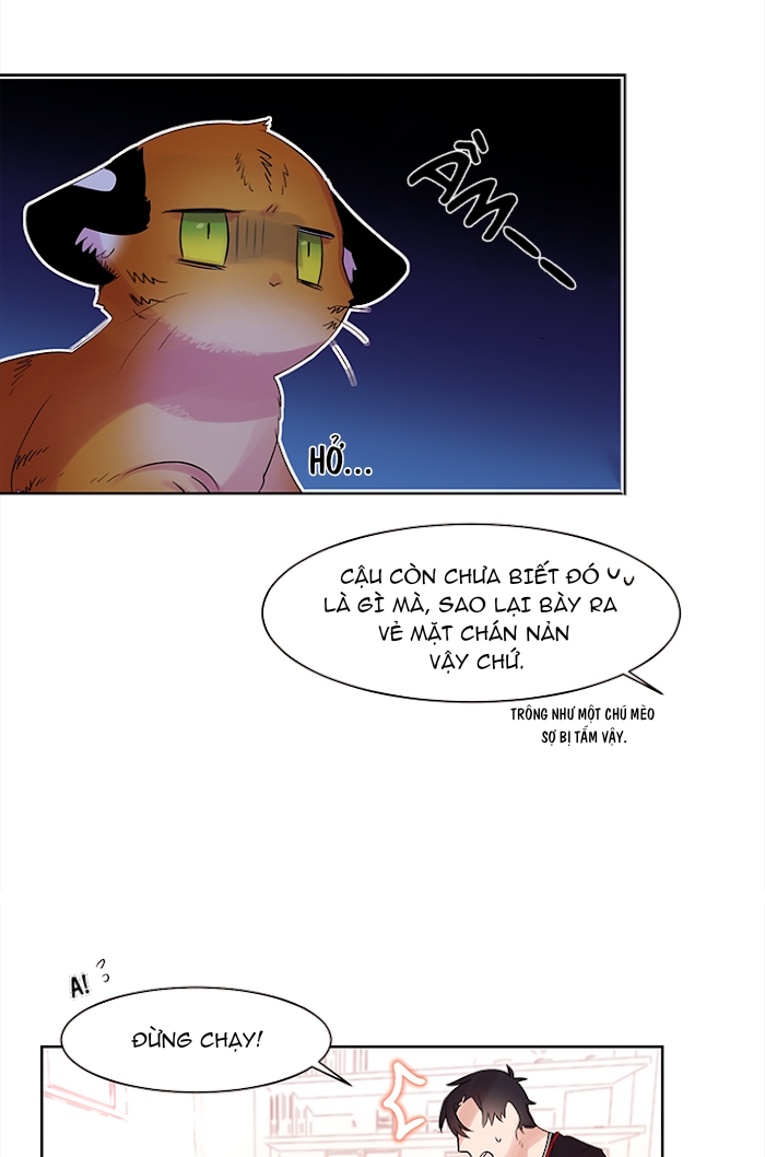 Chàng Mèo Trong Hộp Carton Chapter 4 - Trang 14