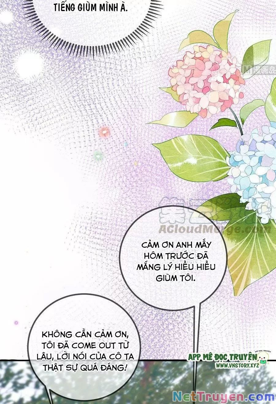 Ảnh Đế Làm Loạn Đòi Ly Hôn Chapter 57 - Trang 20