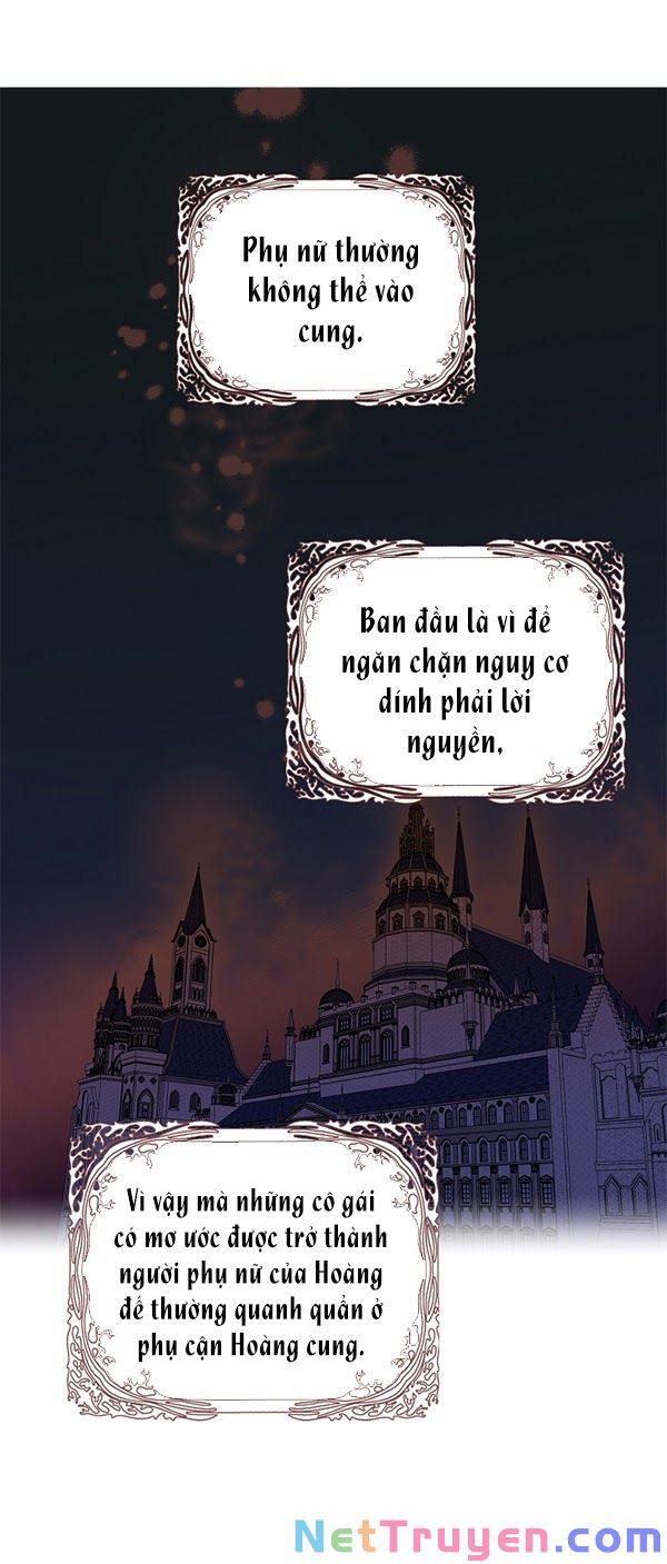 Ba Người Anh Trai Của Tôi Là Bạo Quân Chapter 12 - Trang 9