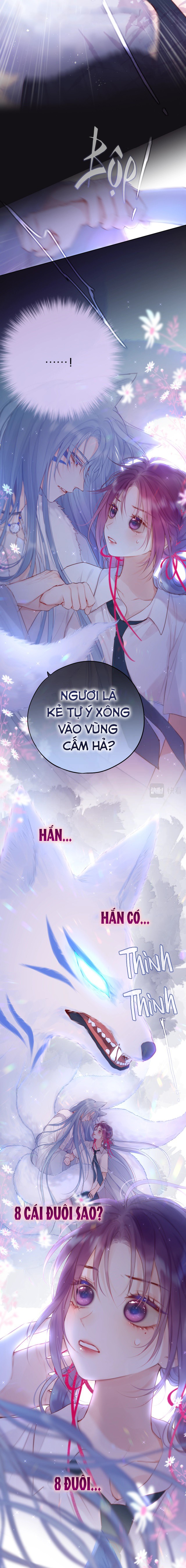 Cạm Bẫy Của Hồ Ly Chapter 1 - Trang 13