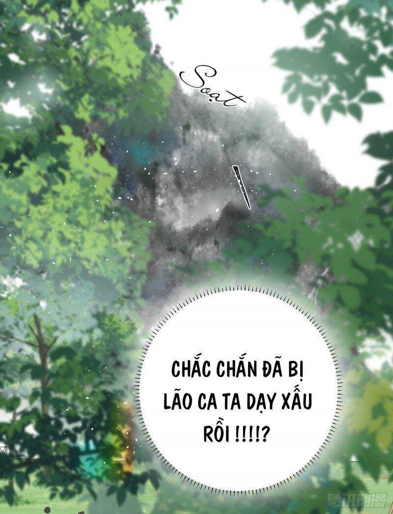 Công Chúa Pháo Hôi Muốn Tùy Tiện Đến Cùng Chapter 33 - Trang 11