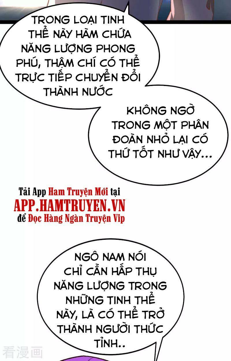 Quân Đoàn Nữ Tử Ngày Tận Thế Của Tôi Chapter 51 - Trang 12