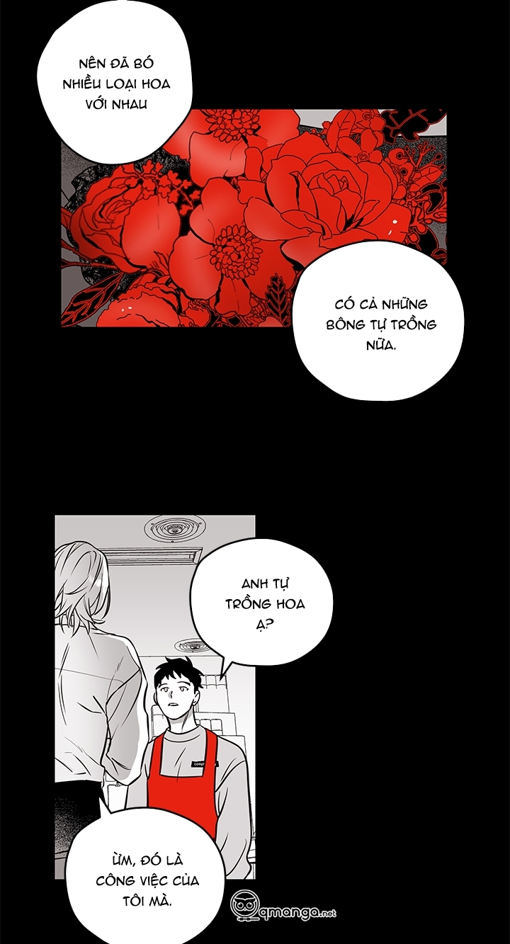 Bữa Tiệc Của Những Đóa Hoa Chapter 3 - Trang 17