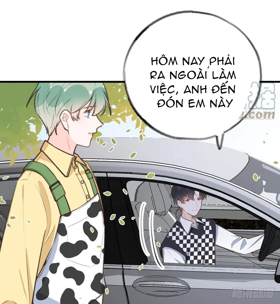 Tình Yêu Mạng Ngọt Ngào Lật Xe Rồi! Chapter 84 - Trang 18