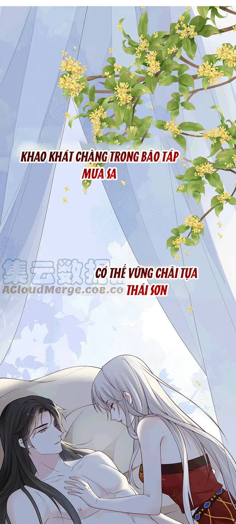 Thái Hậu Quân Hạ Thần Chapter 96 - Trang 4