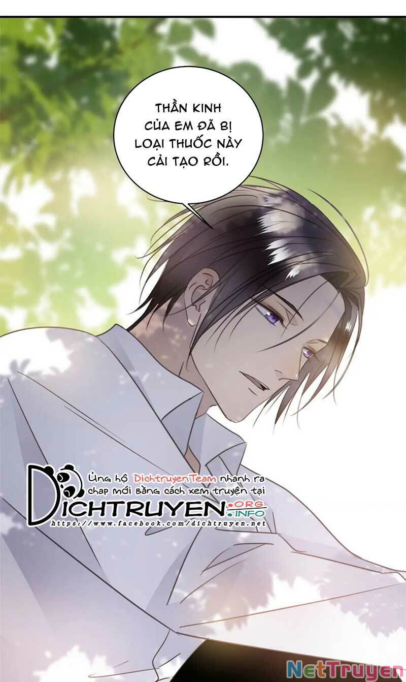 Tiên Sinh Nói Dối Chapter 56 - Trang 35