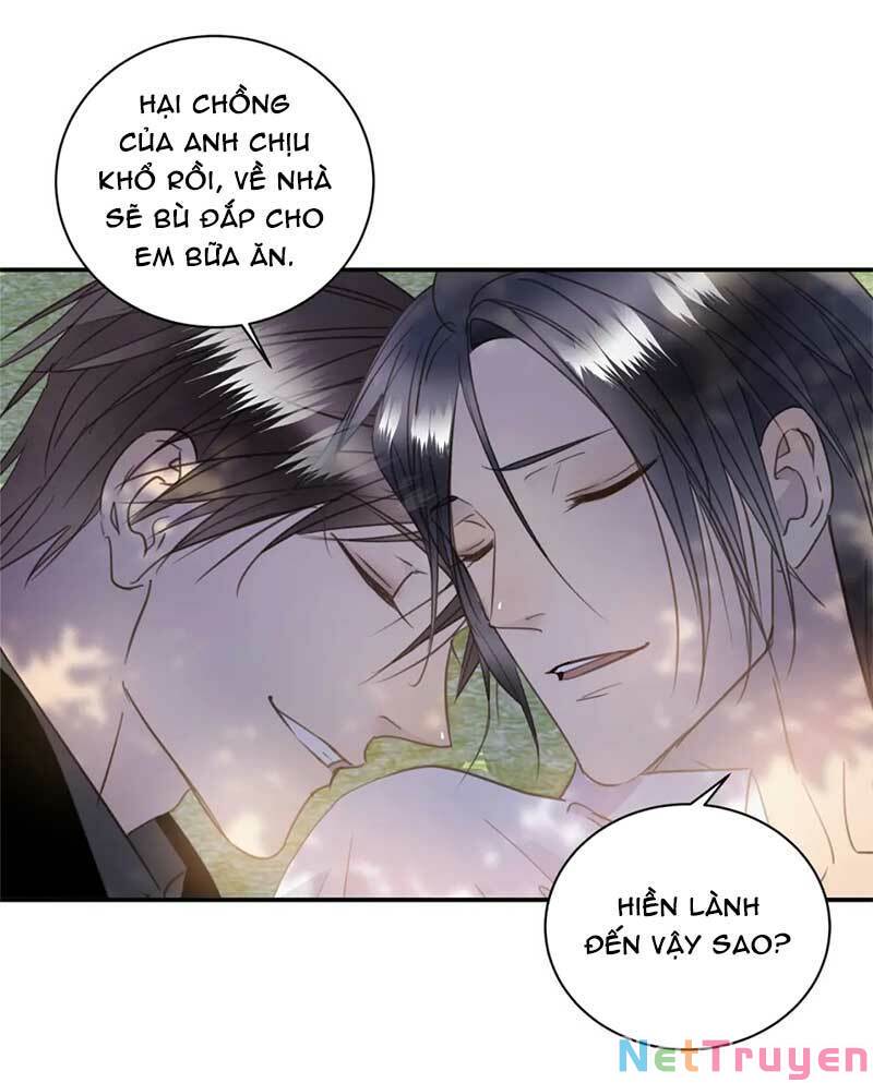 Tiên Sinh Nói Dối Chapter 56 - Trang 42