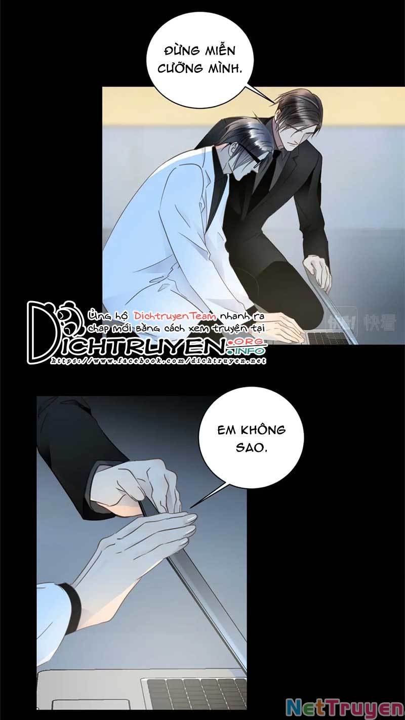 Tiên Sinh Nói Dối Chapter 58 - Trang 22