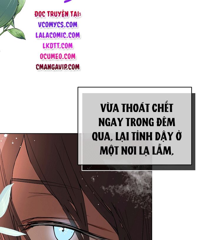 Tôi Không Cố Ý Quyến Rũ Nam Chính Đâu! Chapter 21 - Trang 165