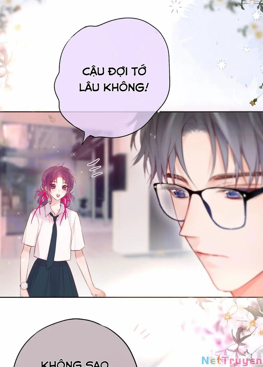 Cạm Bẫy Của Hồ Ly Chapter 11 - Trang 15