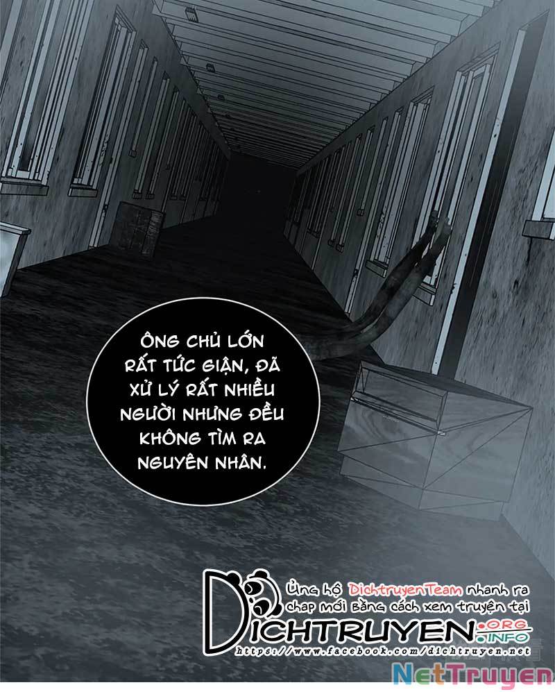 Tiên Sinh Nói Dối Chapter 59 - Trang 16