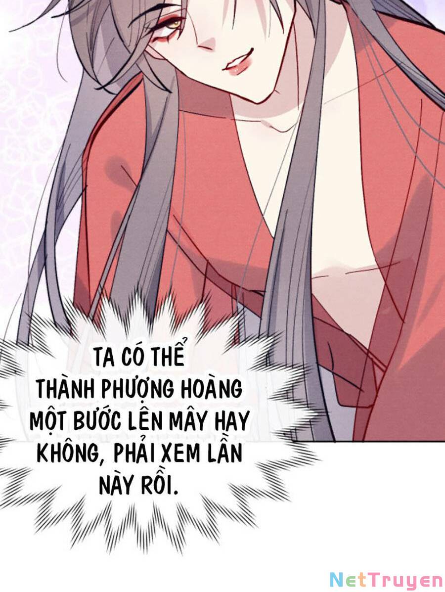 Quân Nhan Tựa Hoa Đào Chapter 31 - Trang 31