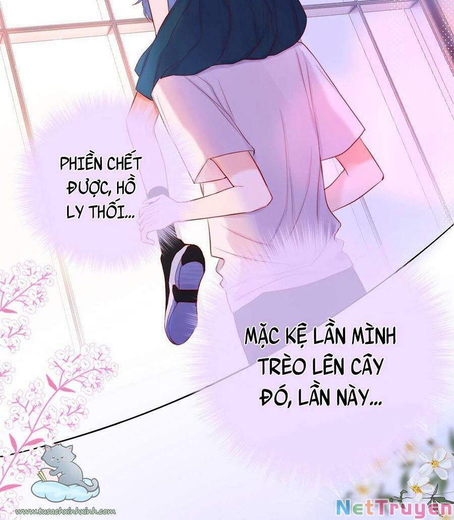 Cạm Bẫy Của Hồ Ly Chapter 17 - Trang 41