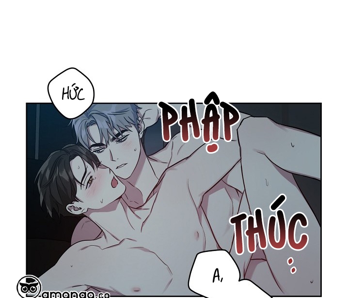 Thần Tượng Đến Rồi!? Chapter 21 - Trang 14