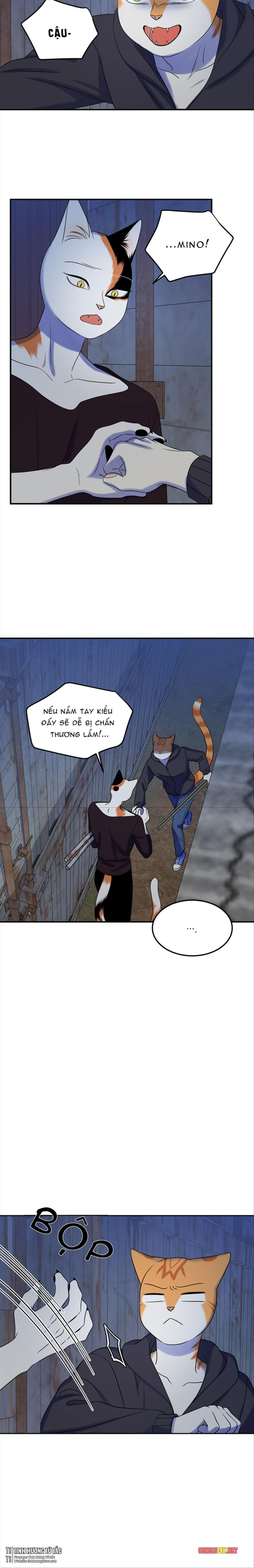 Dự Án Xanh Chapter 17 - Trang 13