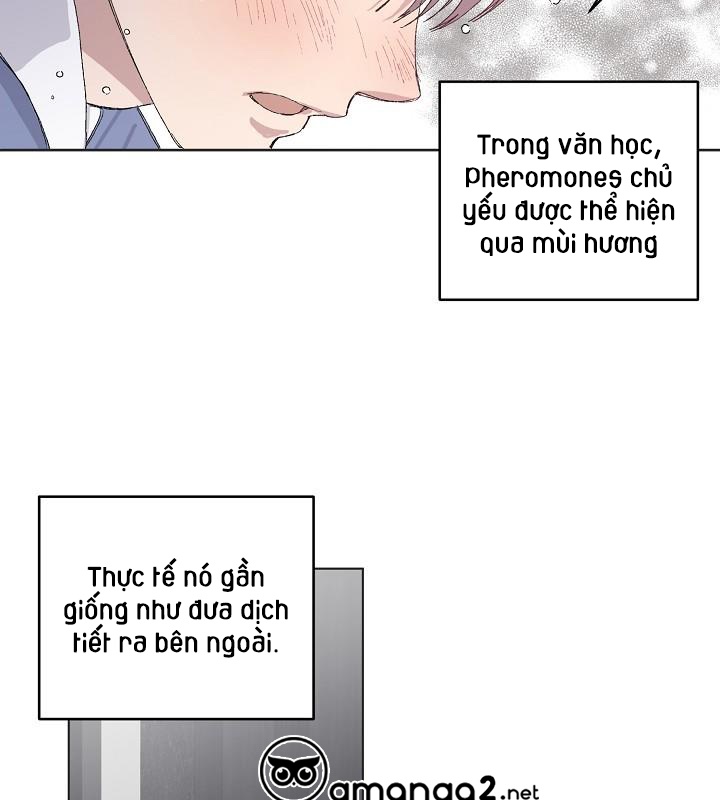 Chàng Tuấn Mã Của Tôi Chapter 15 - Trang 23