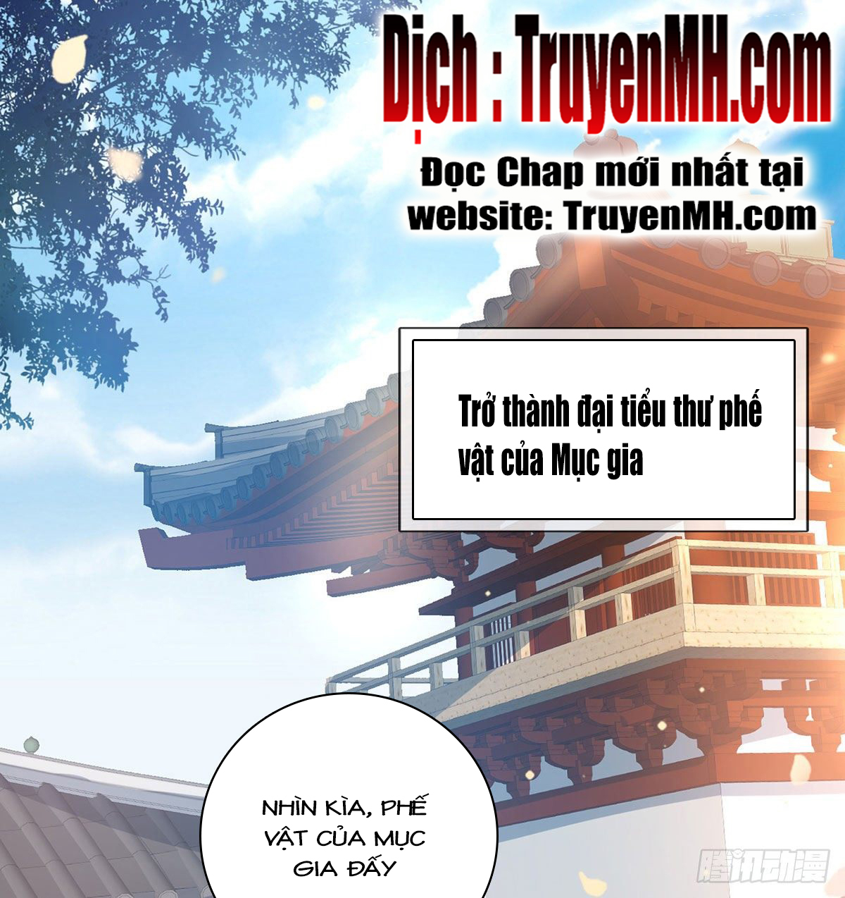 Kiều Mỵ Phu Lang, Tại Tuyến Lục Trà Chapter 4 - Trang 8