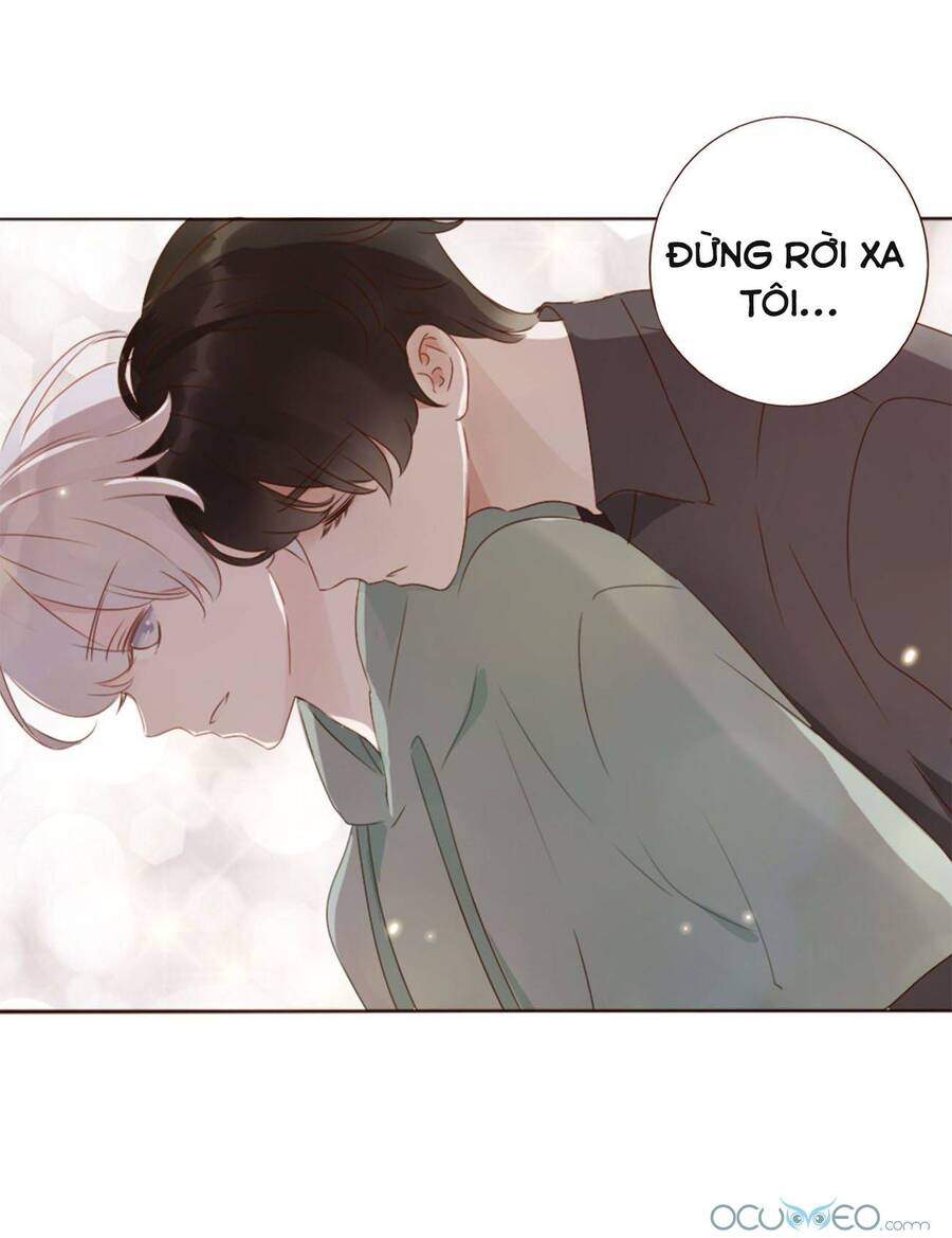 Ôm Hôn Mạc Nhiên Chapter 19 - Trang 12