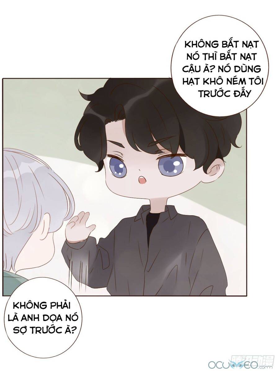 Ôm Hôn Mạc Nhiên Chapter 19 - Trang 6