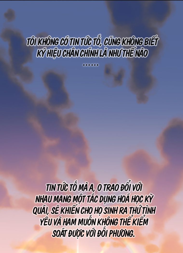 Trần Thương (Vết Sẹo Cũ) Chapter 34 - Trang 23