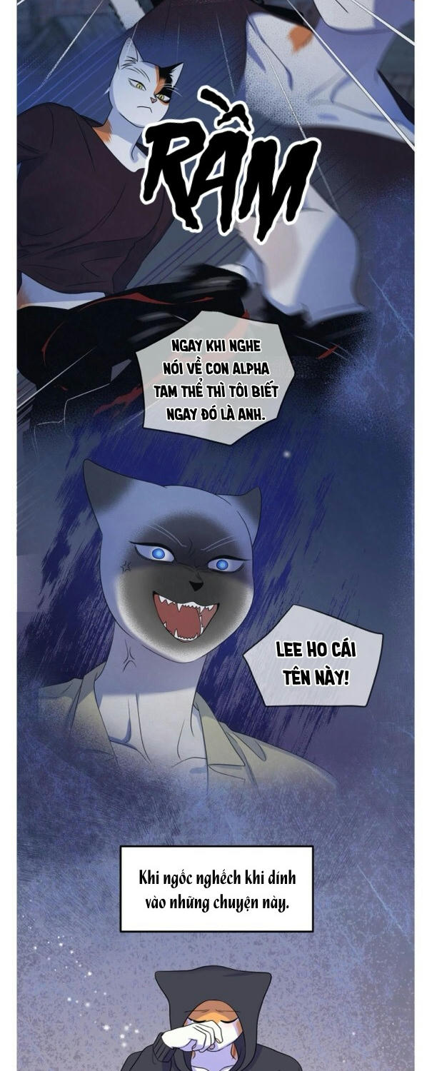 Dự Án Xanh Chapter 20 - Trang 35