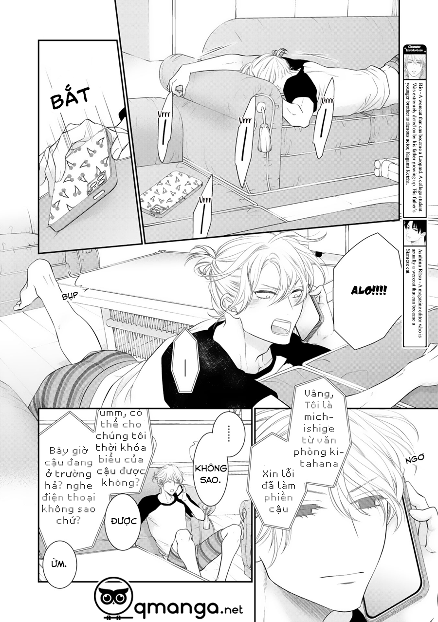 Chú Mèo Của Tôi Chapter 6 - Trang 6