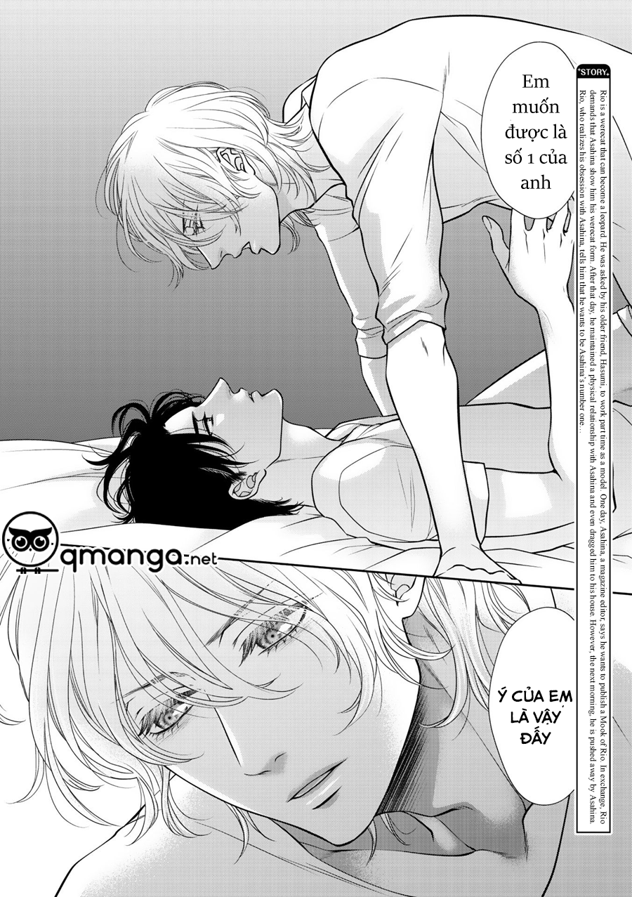 Chú Mèo Của Tôi Chapter 8 - Trang 2