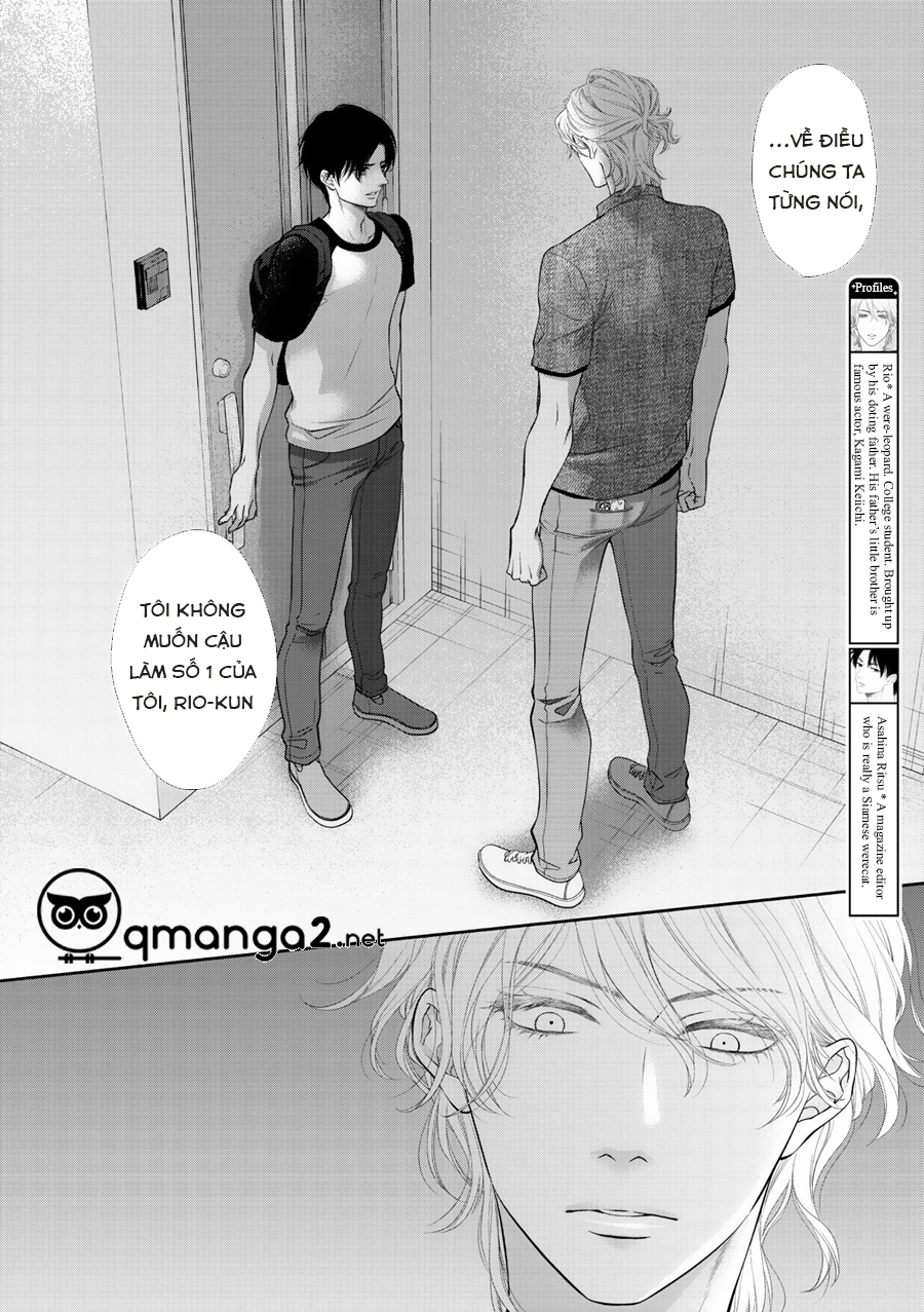 Chú Mèo Của Tôi Chapter 9 - Trang 2