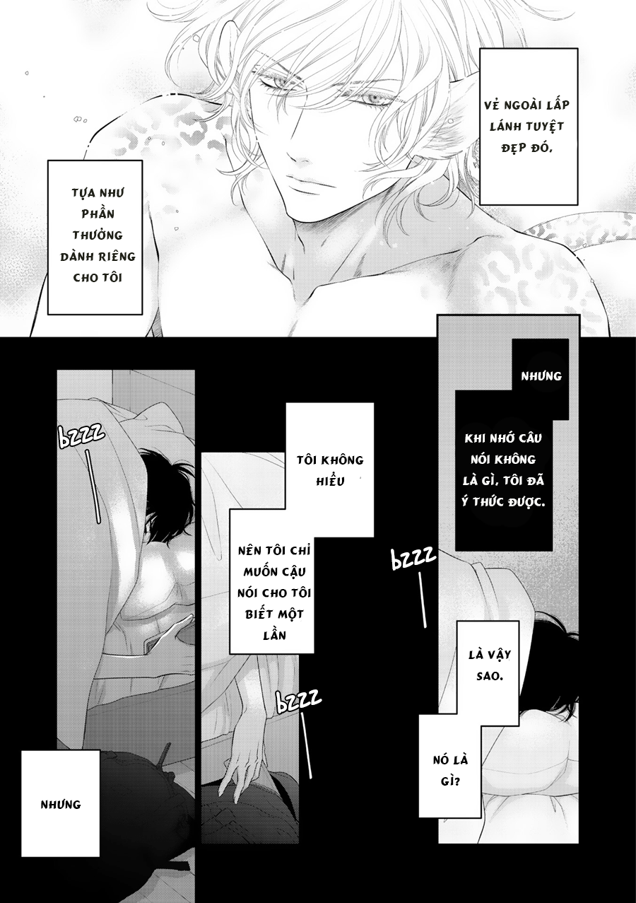 Chú Mèo Của Tôi Chapter 9 - Trang 15