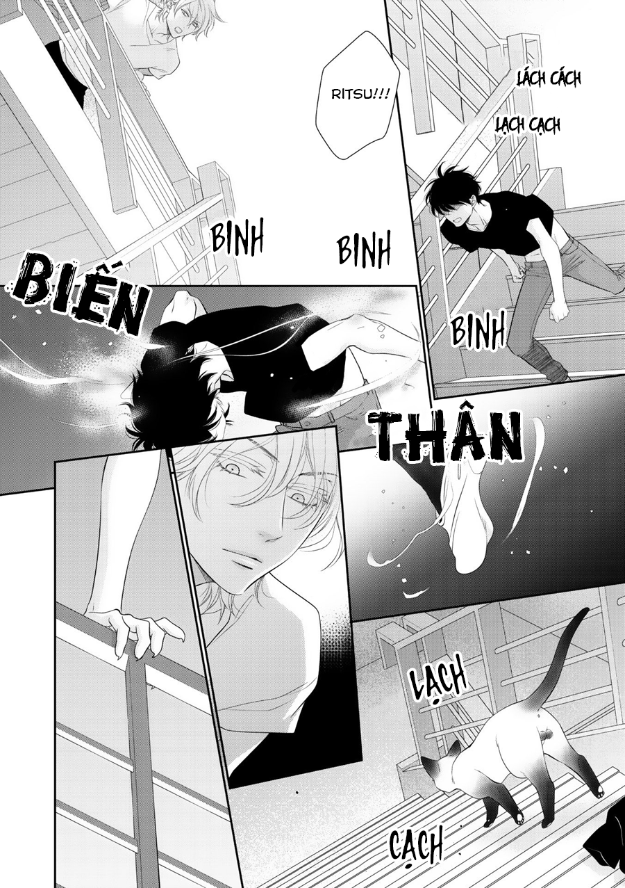 Chú Mèo Của Tôi Chapter 9 - Trang 22