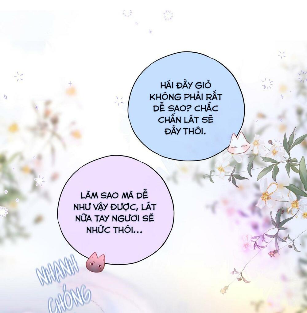 Cạm Bẫy Của Hồ Ly Chapter 23 - Trang 24