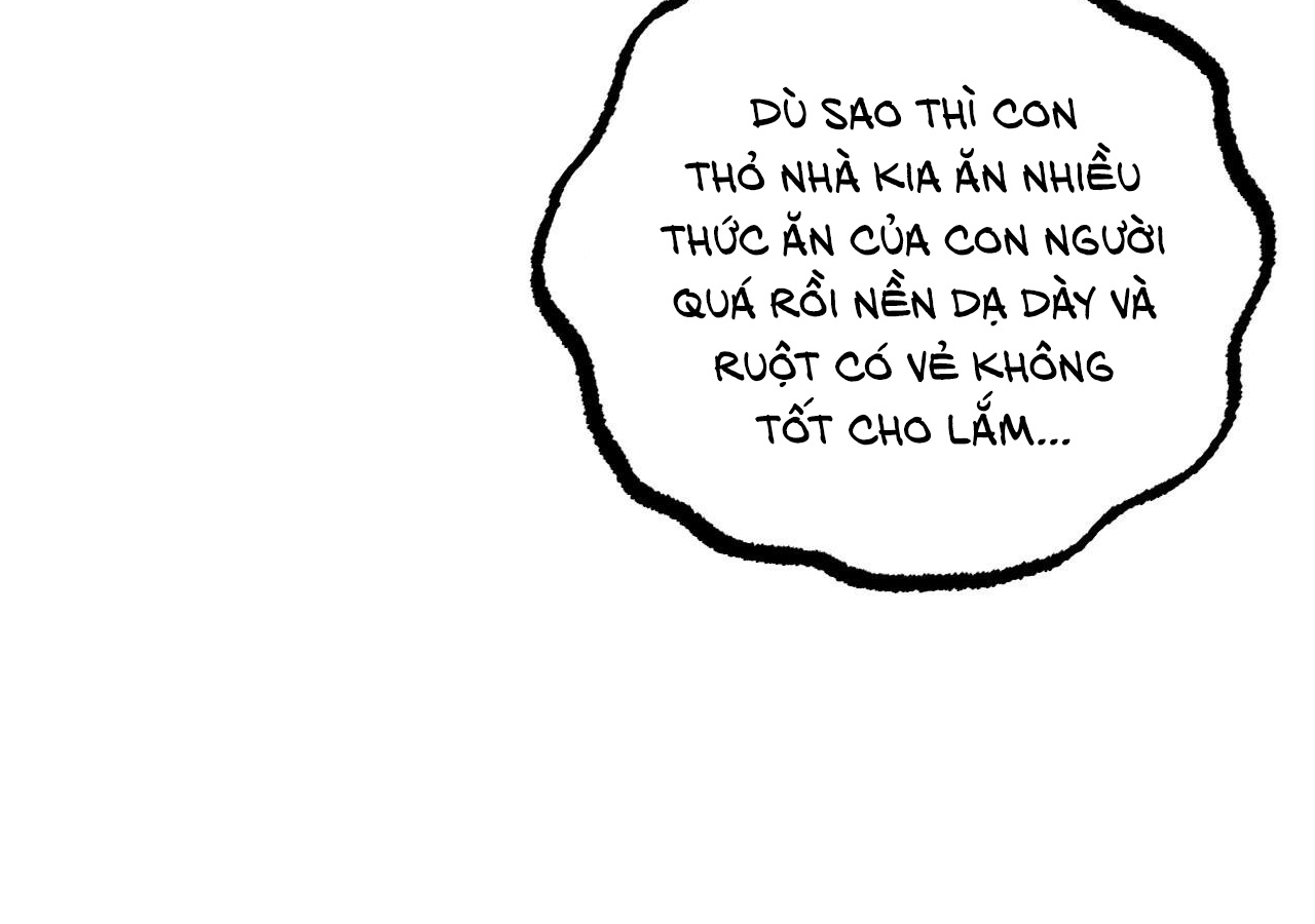 Đàn Thỏ Của Habibi Chapter 20 - Trang 44