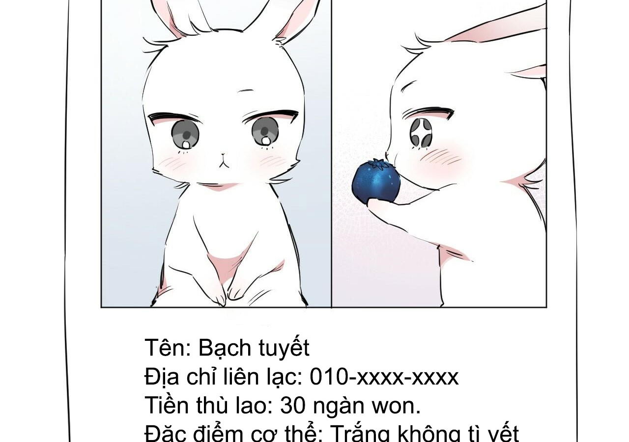 Đàn Thỏ Của Habibi Chapter 20 - Trang 97