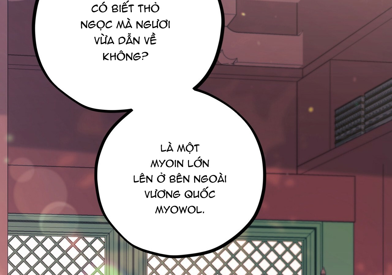 Đàn Thỏ Của Habibi Chapter 21 - Trang 203