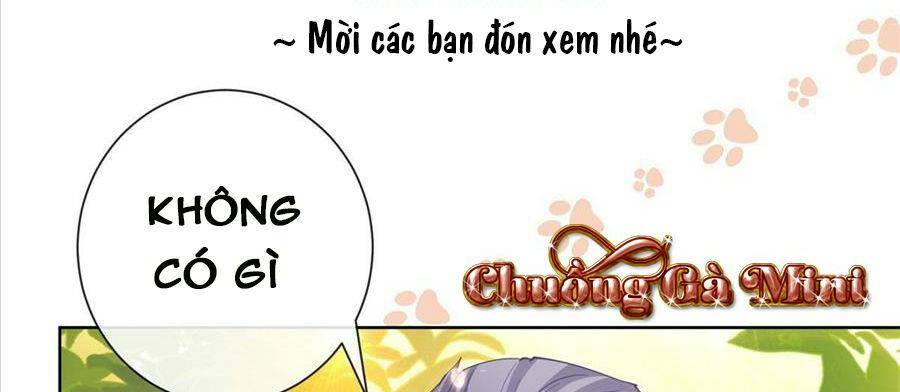 Boss Sát Thủ Dưỡng Hồ Yêu Chapter 24 - Trang 12