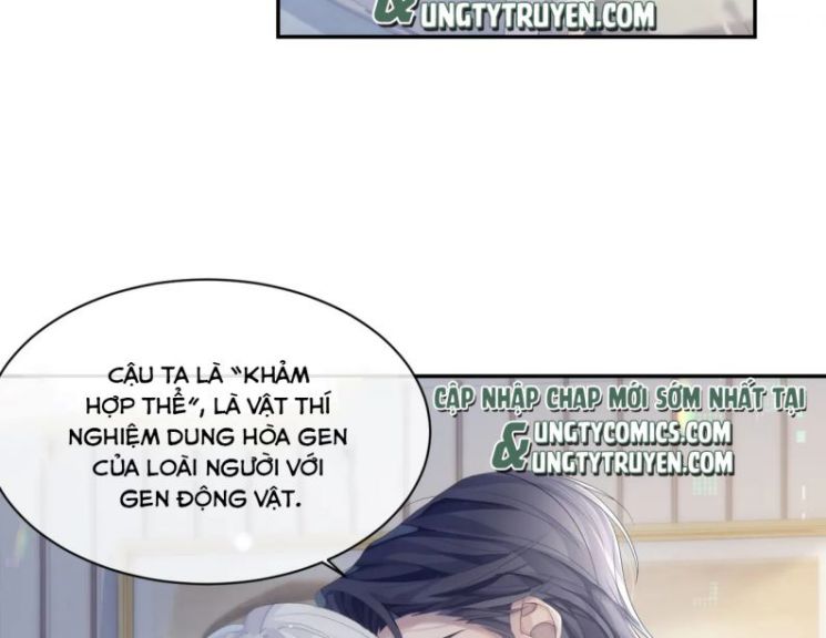 Xin Phép Ly Hôn Chapter 36 - Trang 3